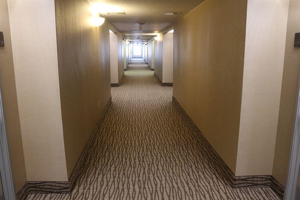 Comfort Suites New Braunfels Bagian luar foto