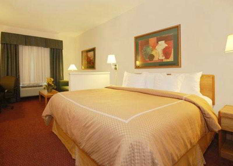 Comfort Suites New Braunfels Ruang foto
