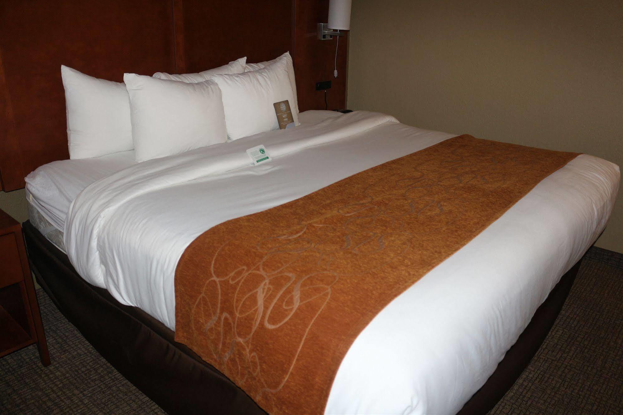 Comfort Suites New Braunfels Bagian luar foto