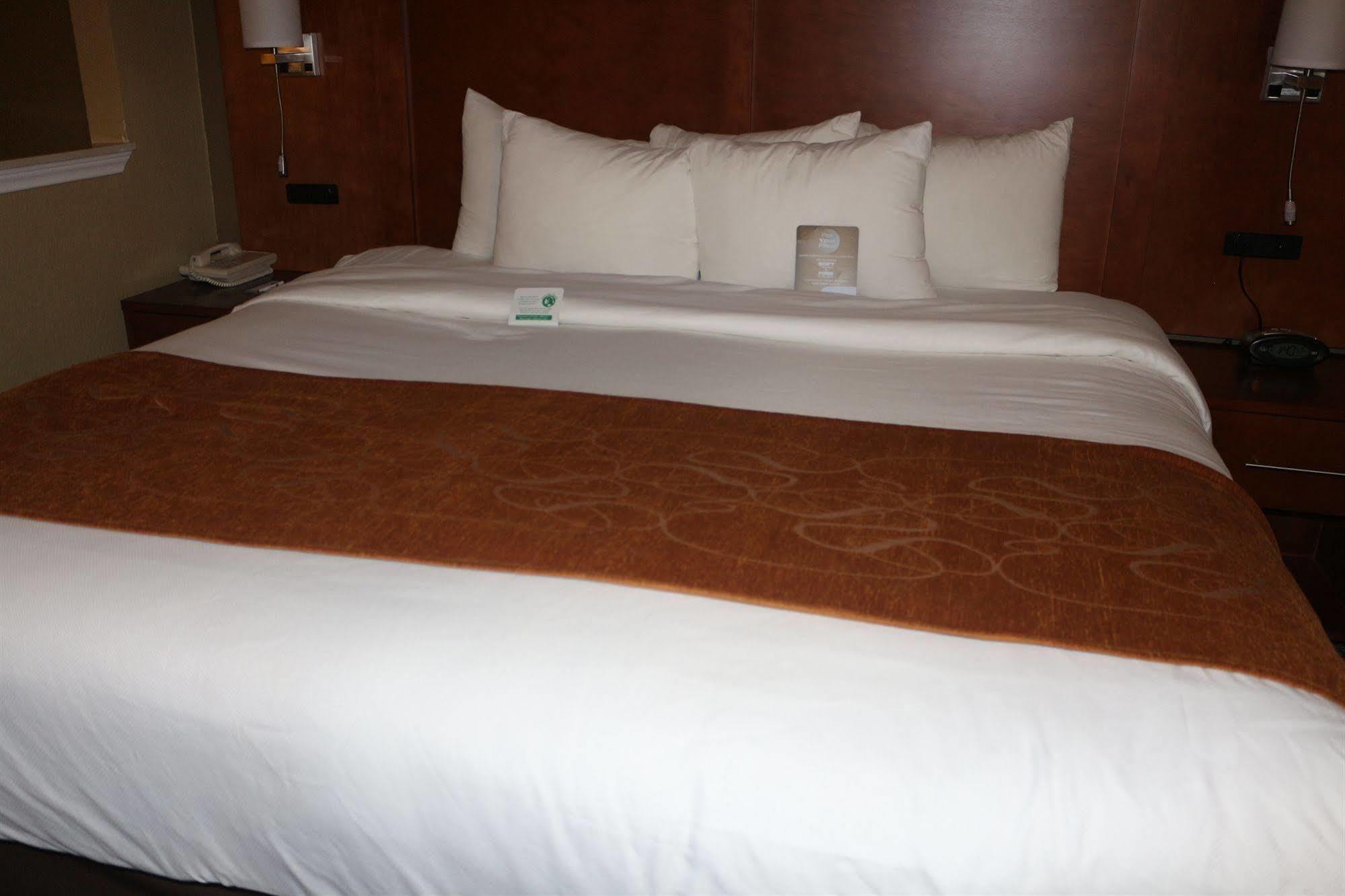 Comfort Suites New Braunfels Bagian luar foto
